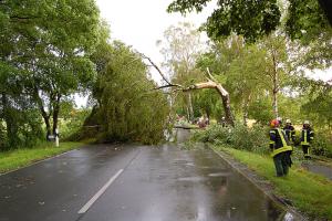 Auf der L168 zwischen Oyten und Bassen blockieren mehrere Bäume die Straße.