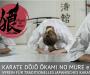 Karate Dojo Okami no mure e.V.  Verein für traditionelles japanisches Karate